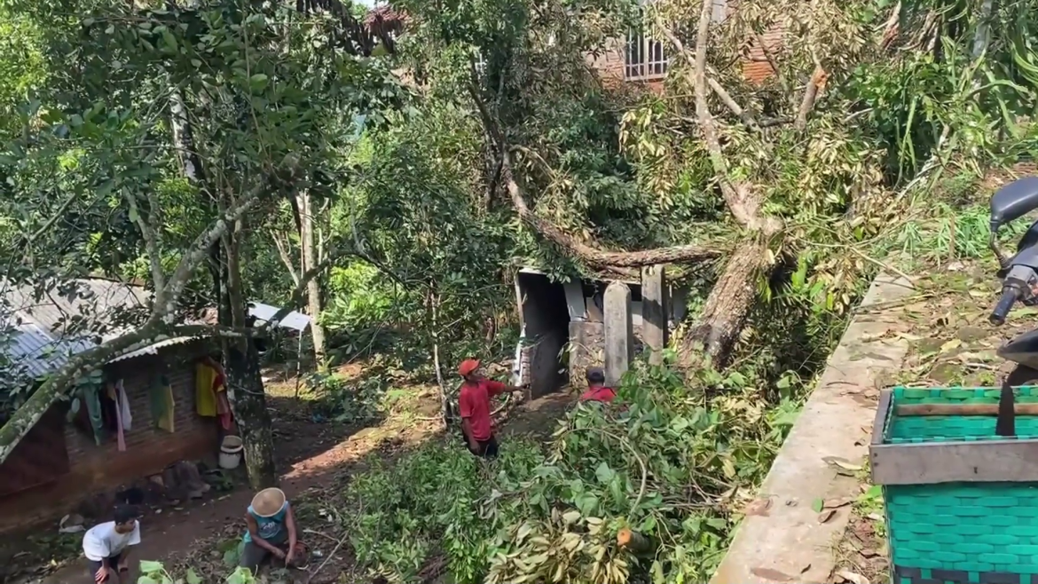 23 rumah rusak dan puluhan pohon tumbang akibat puting beliung