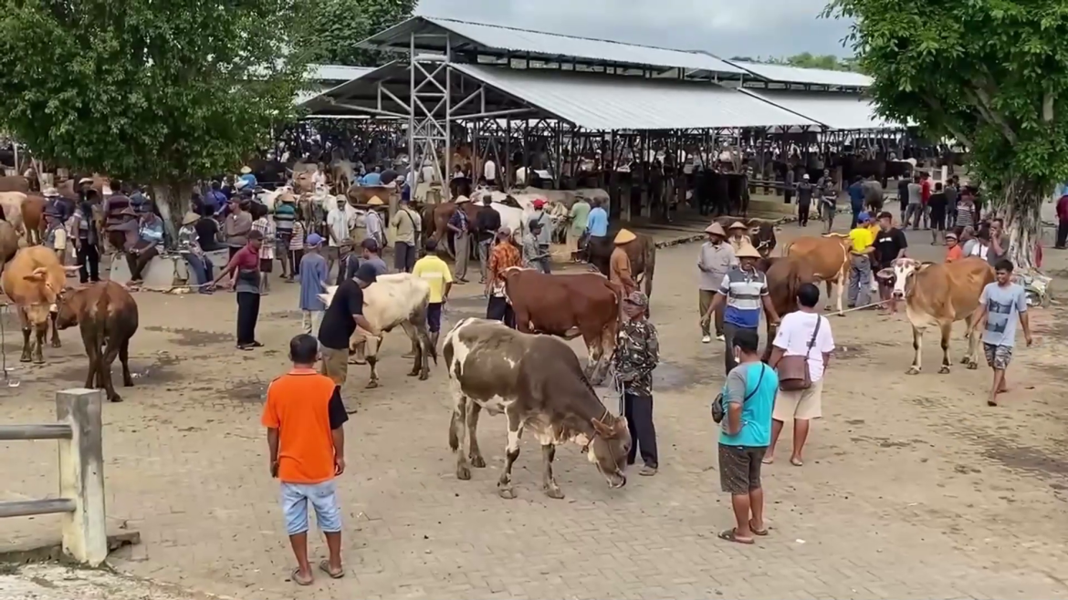 17 Warga Suspek Antraks Setelah Konsumsi Daging Kambing