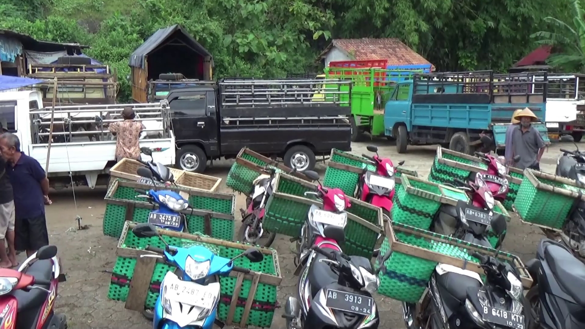 Paska Lebaran Pasar Ternak Mulai Bergeliat