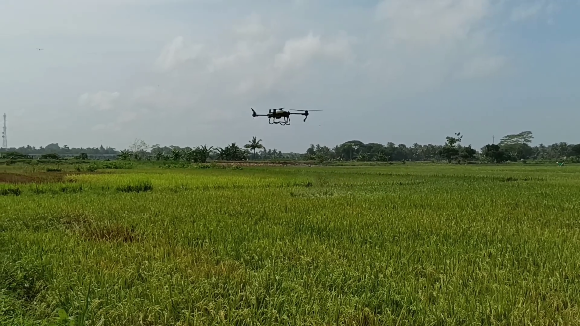 Jasa Penyewaan Drone Pertanian Semakin Diminati