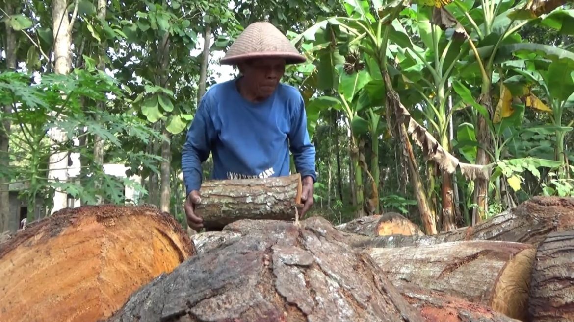 Jelang Idul Adha, Permintaan Arang Bakar Naik