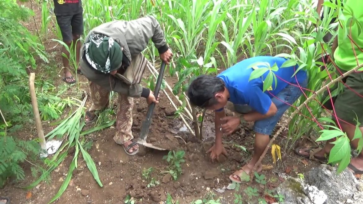 Penanaman Pohon Langka