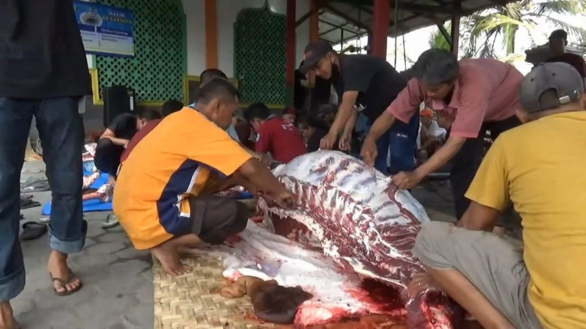 Penyembelihan Hewan Kurban Disambut Antusias Warga