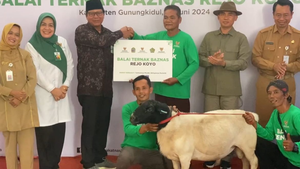 Tingkatkan Kesejahteraan, Baznas Hibahkan Ratusan Kambing