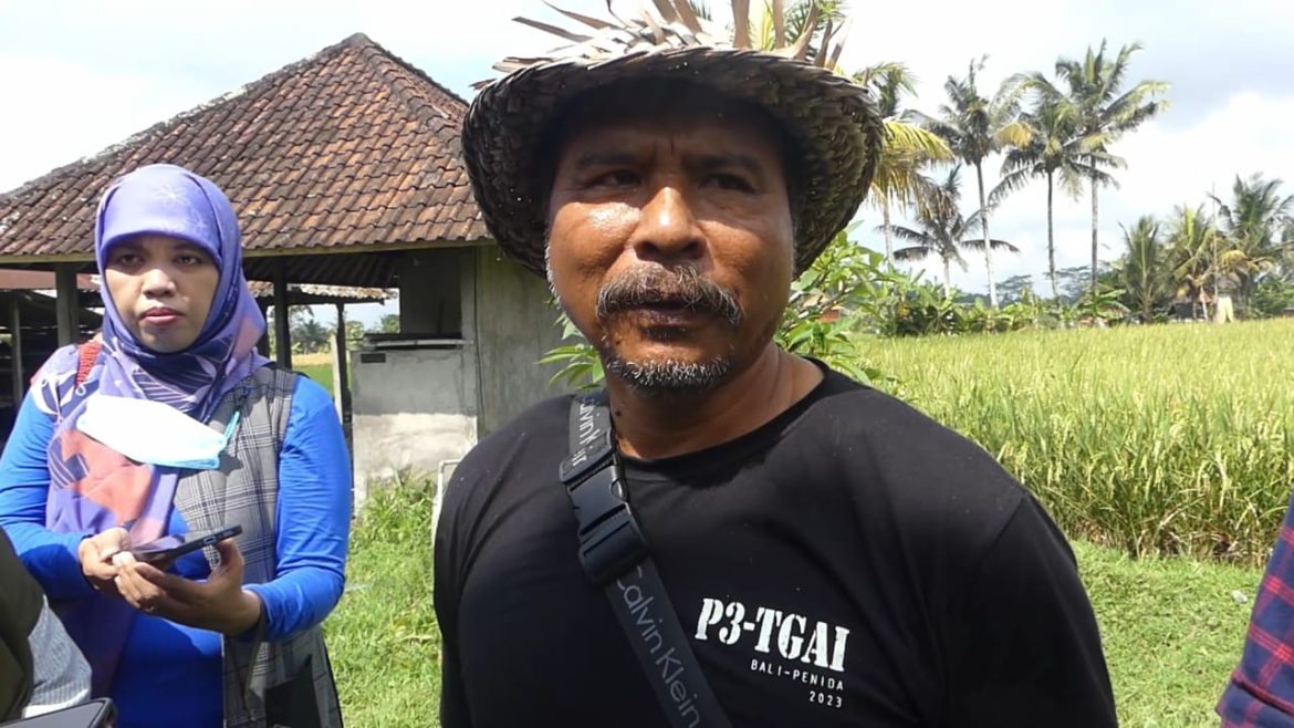 Mengenal Subak bali, Warisan Budaya Dunia yang Mirip Sumbu Filosofi Jogja