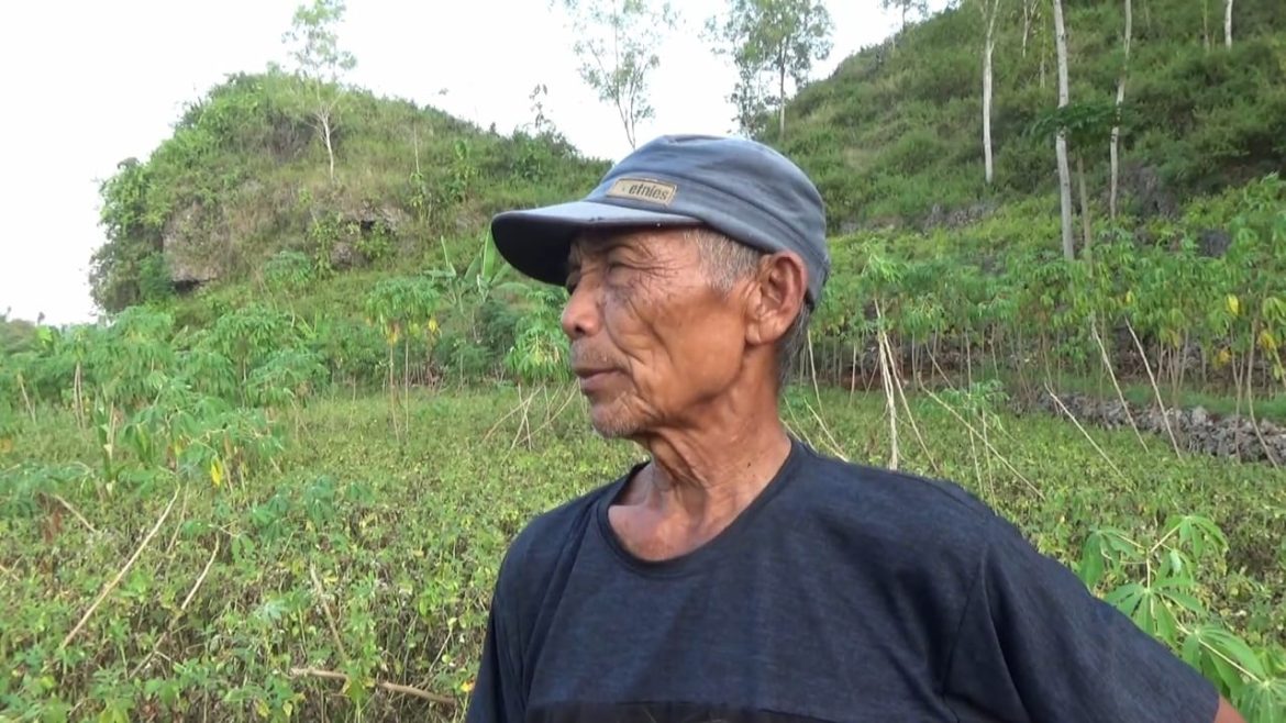 Panen Kacang Tanah Terkendala Tanah Kering dan Keras