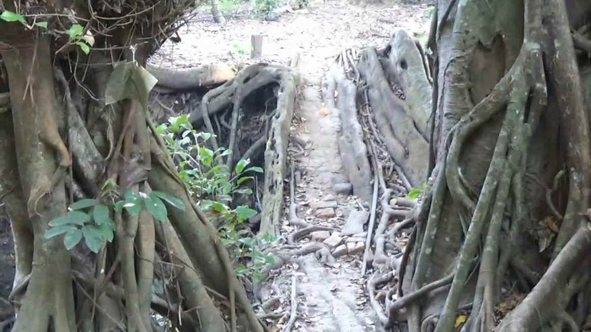 Sempat Ramai Viral, Jembatan Akar di Seyegan Sepi Pengunjung