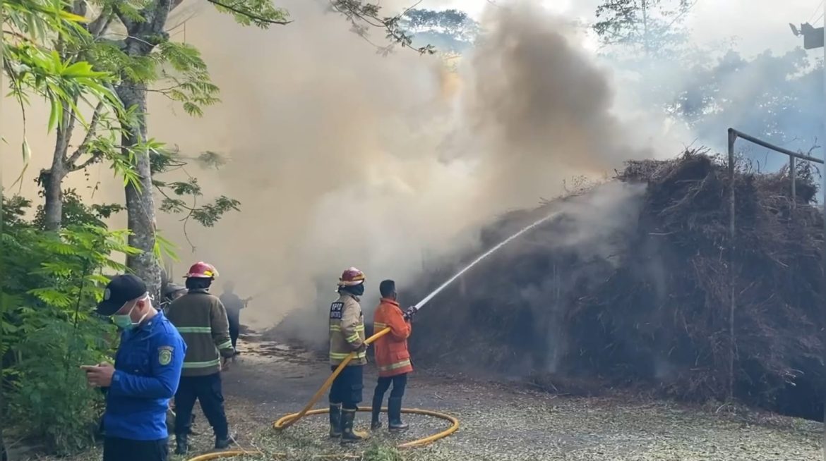 Gudang Pabrik Pengolahan Minyak Kayu Putih Terbakar