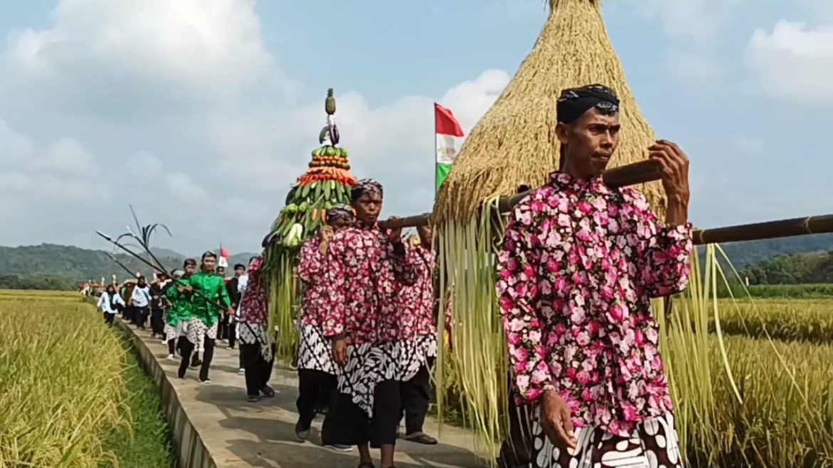 Tradisi Wiwitan Dusun Pereng Sedangsari