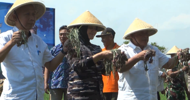 Sinergitas TNI AL Pemkab Bantul Dan Petani Wujudkan Ketahanan Pangan