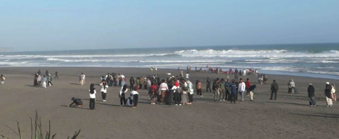 Ratusan Pemuda Aksi Bersih Pantai dan Lepas 79 Tukik Sambut HUT RI