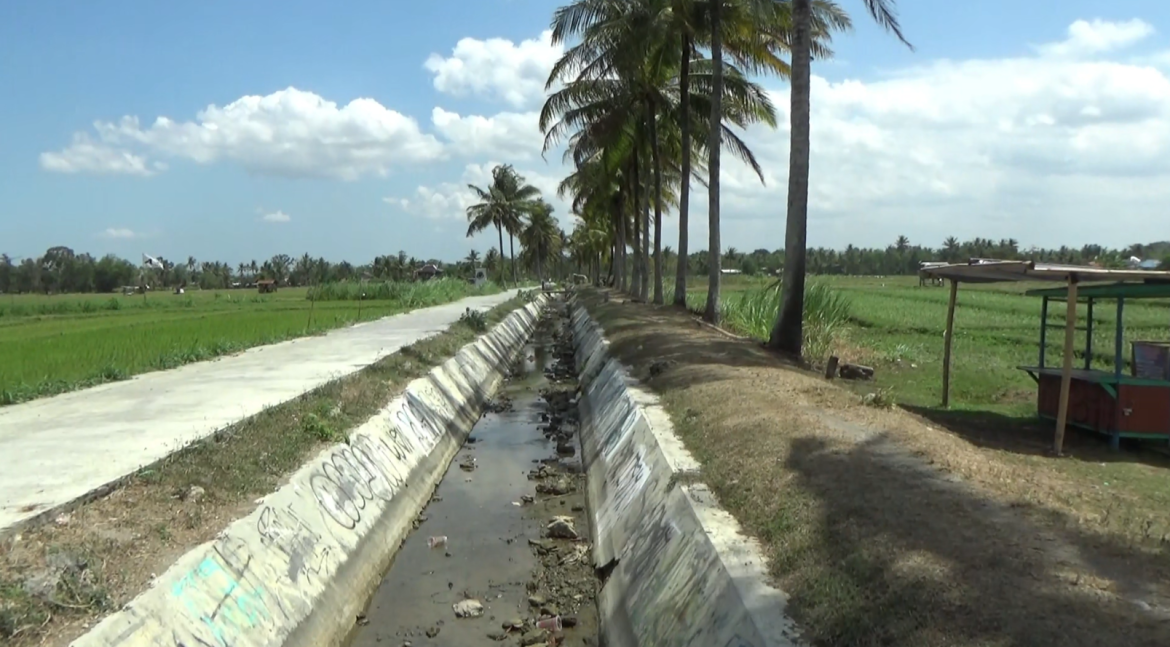 Petani Lahan Sawah Kekurangan Pasokan Air Saat Kemarau