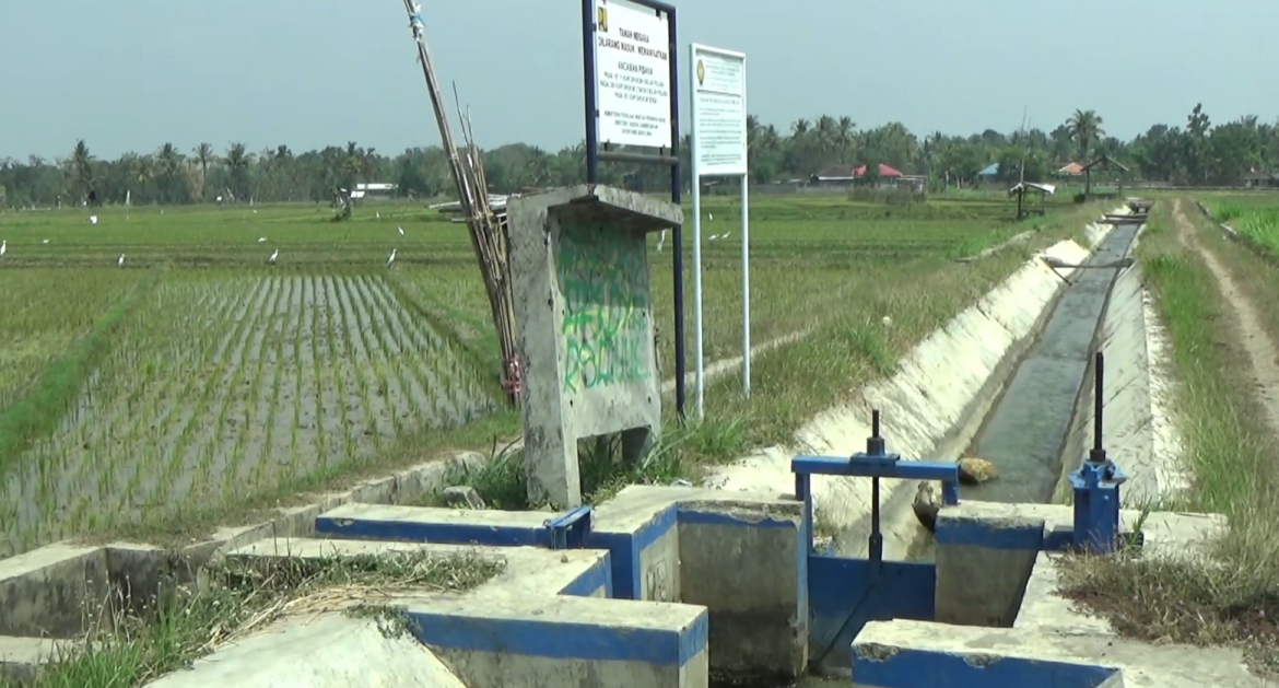 Kurang Air, Petani Manfaatkan Air Sumur Pompa