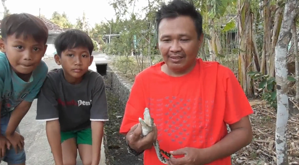 Warga Temukan Anak Buaya di Selokan Pemukiman Penduduk