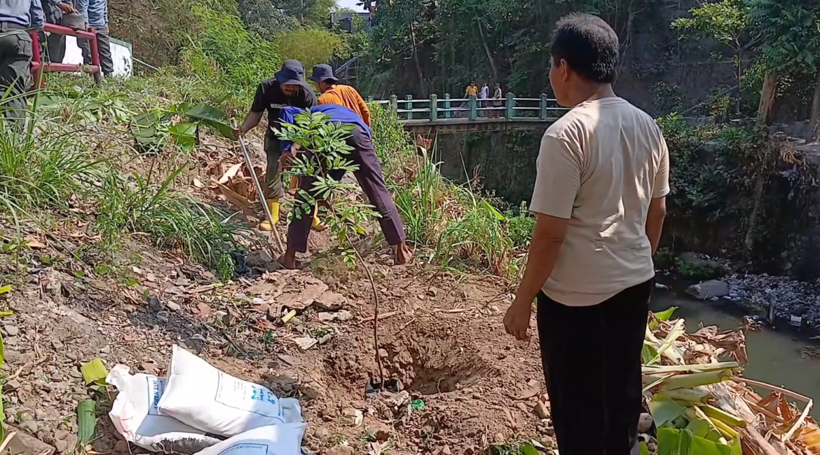 Bantaran Sungai Ditanami Bibit Klengkeng Atasi Masalah Sosial