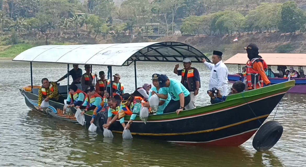 Belasan Pasangan Pengantin Tebar Benih Ikan di Waduk Sermo