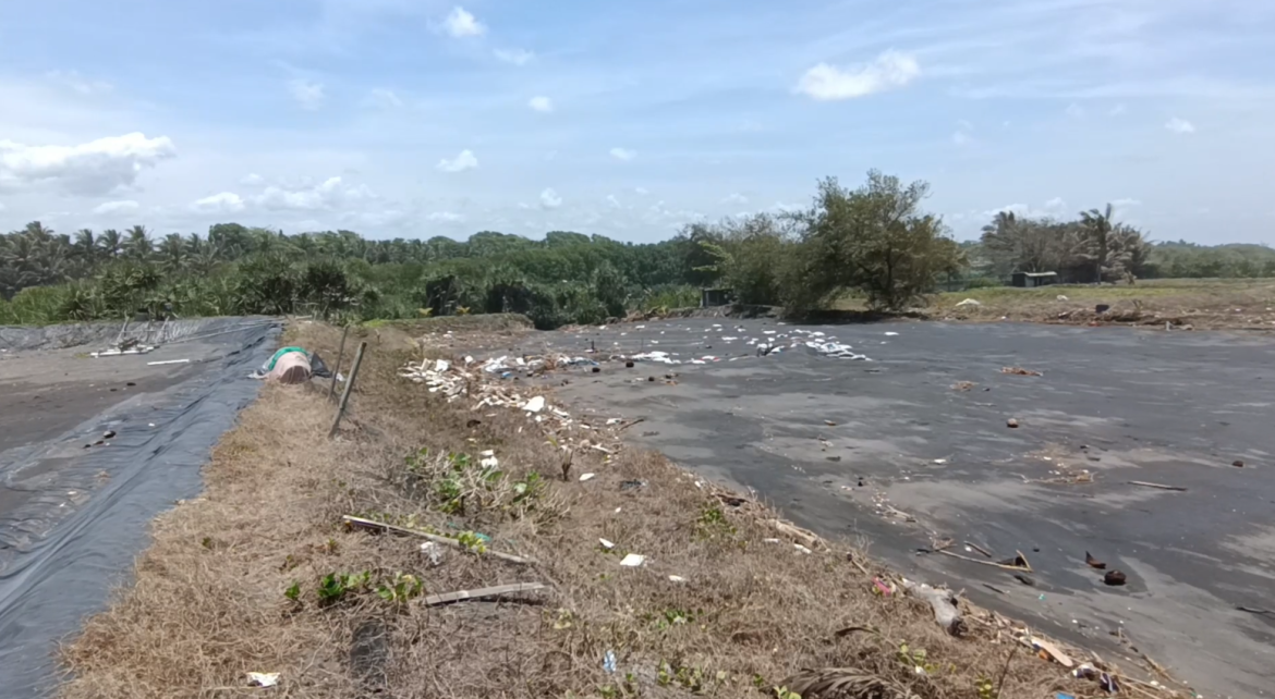 Dampak Gelombang Tinggi, Sejumlah Tambak Udang di Kulonprogo Rusak