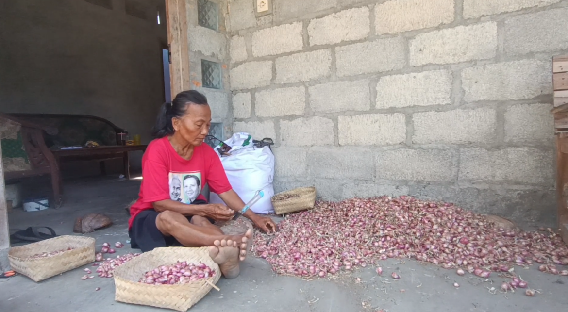 Dihargai Sangat Murah Petani Jual Sendiri Bawang Merah