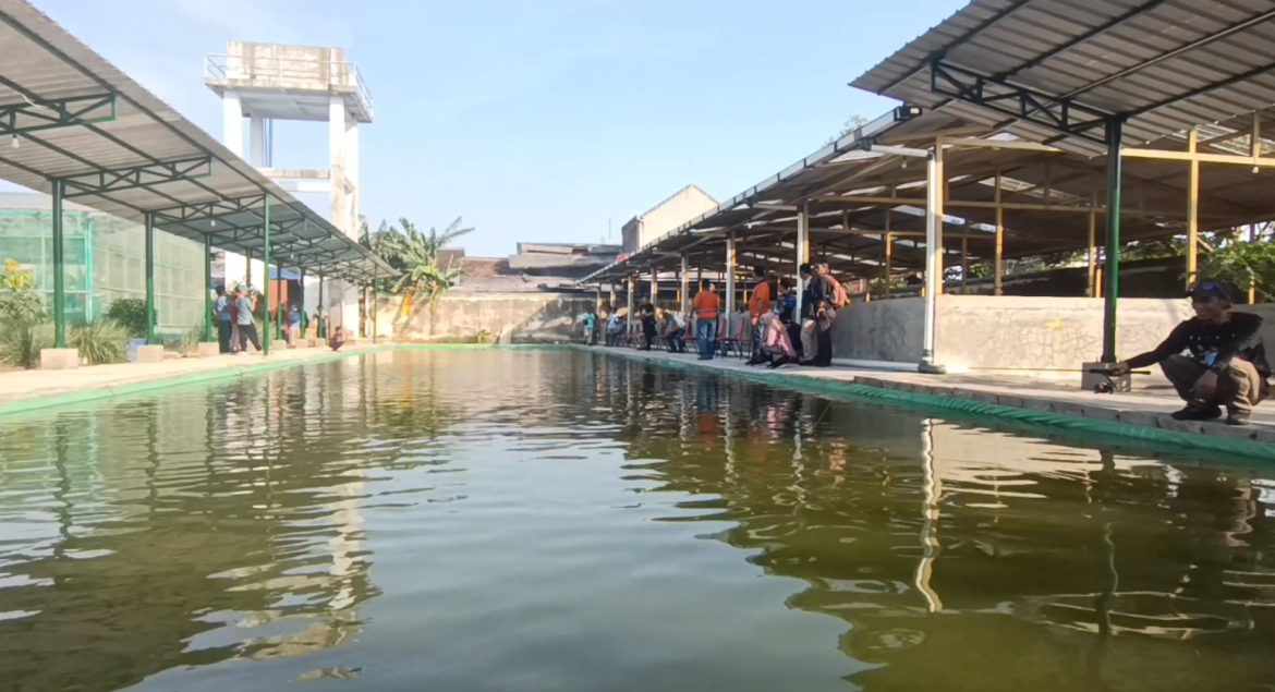 Pasar Ikan Gawok Kini Dilengkapi Tempat Pemancingan Hingga Resto Kebun Anggur