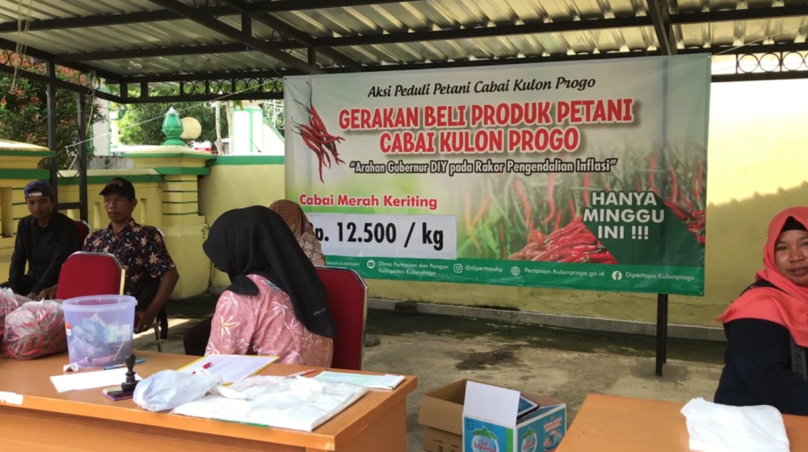 Bantu Petani DPP Kulonprogo Gelar Gerakan Beli Produk Petani Cabai