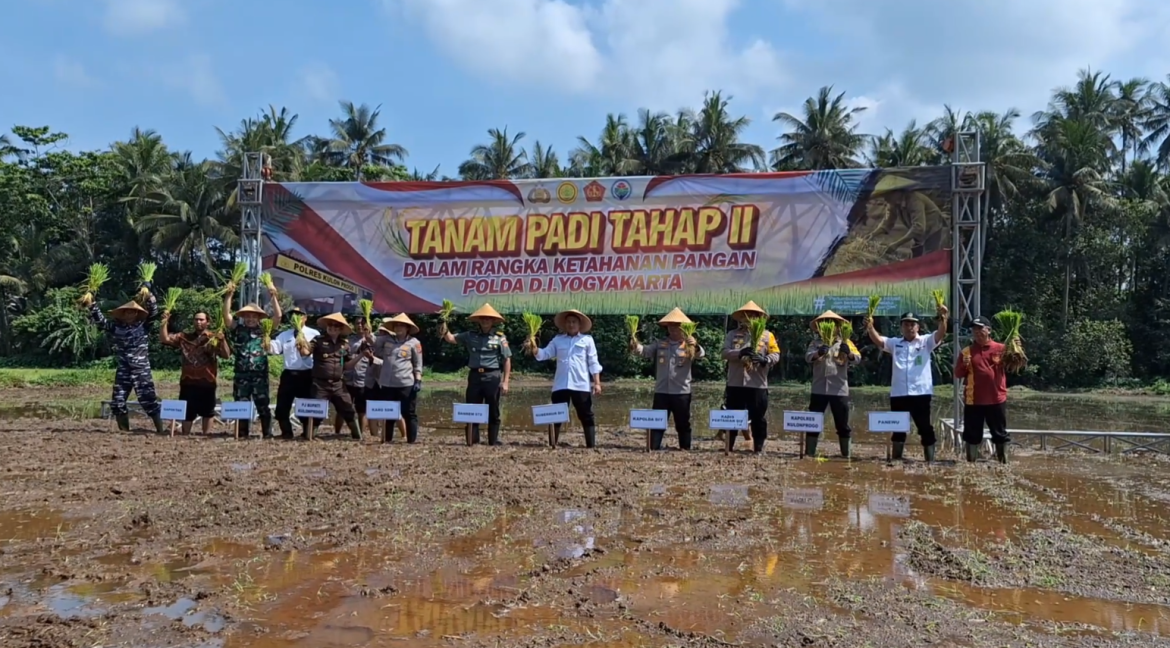 Kapolda DIY Tanam Padi di Lahan Kurang Produktif di Kulonprogo