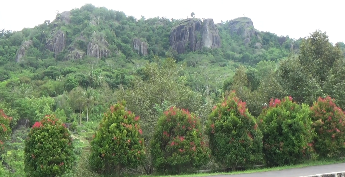 Aksi Penghijauan Kawasan Embung Nglanggeran