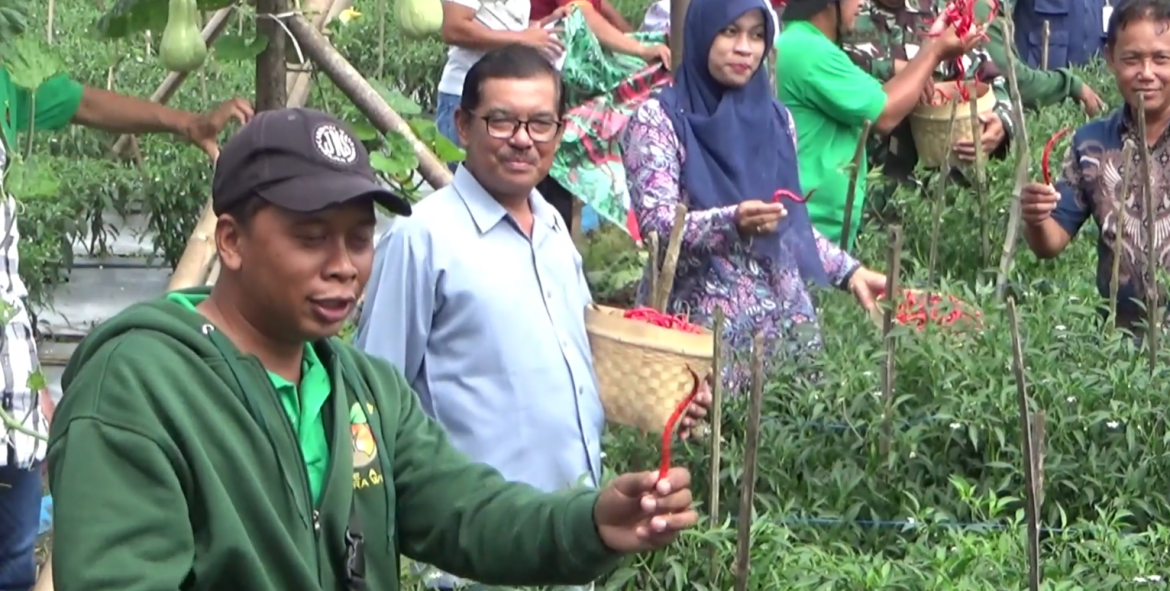 Ngrimat Taneman Lombok ing Cuaca Ekstrim