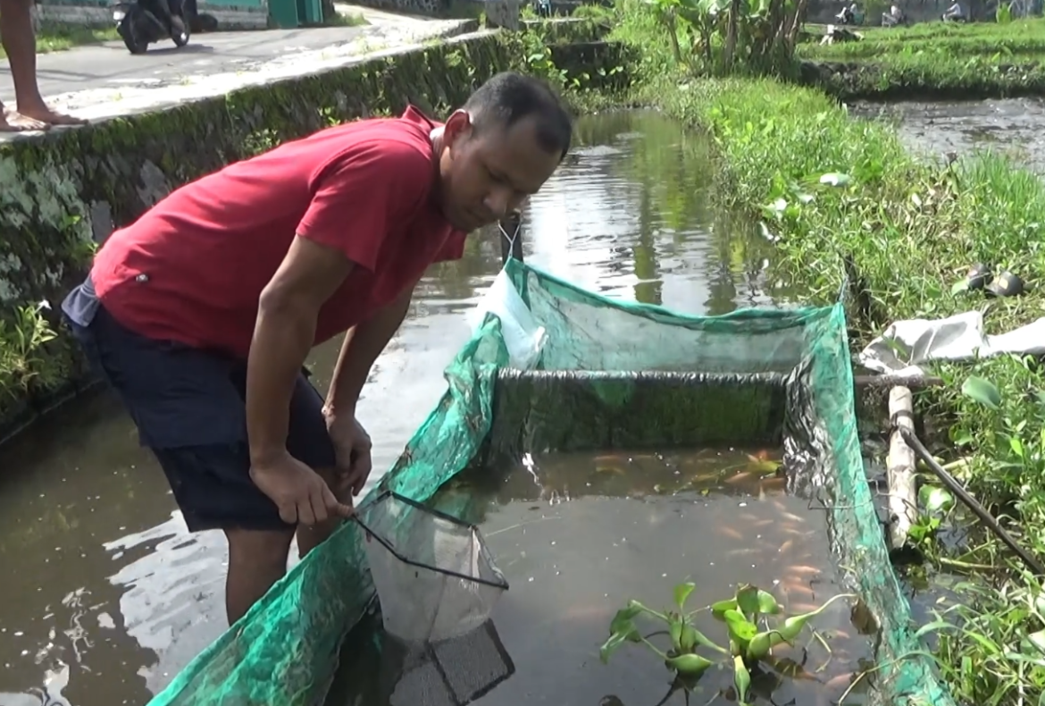 Mekaraken Ulam Uceng lan Gabus