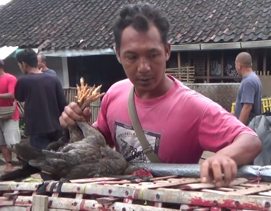 Panyuwunan Ayam Kampung Inggil