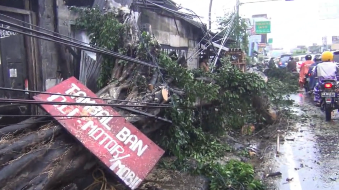 Pohon Besar Tumbang, Arus Lalin di Jalan Wates Macet