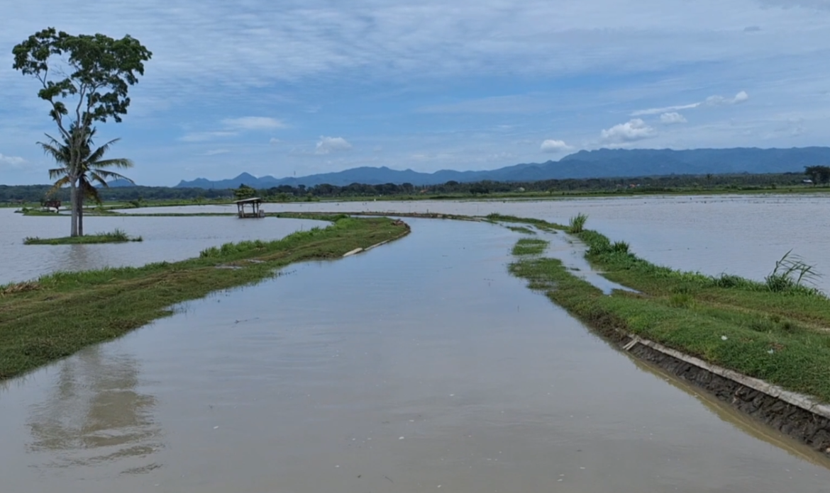 Cegah Banjir di Bulak Srikayangan DPRD Dorong Normalisasi Jaringan Air Sepanjang 3 Kilometer