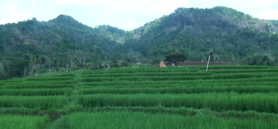 Terasering Ingkang Endah Edi Peni