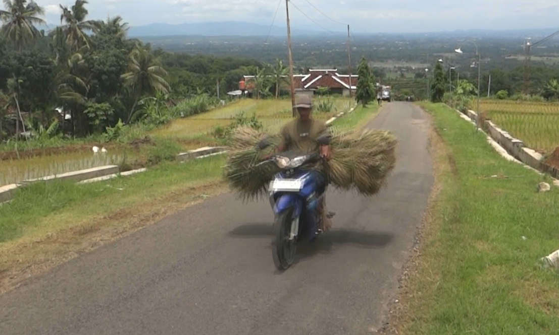 Mangsa Tanem Pantun ing Laladan Srunggo Bantul