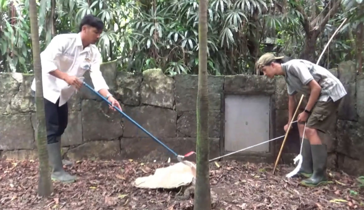 Edukasi Penanganan Satwa Buas Bagi Perawat Satwa Kebun Binatang