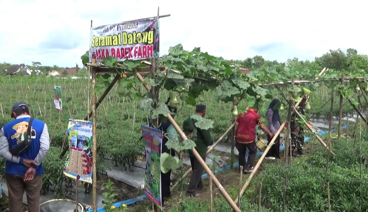 Kelompok Tani Siap Pasok Bahan Pangan Program Makan Bergizi