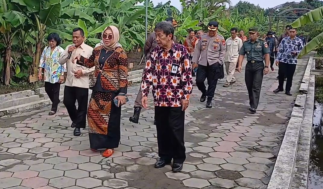 Kota Yogyakarta Siap Kembangkan Ragam Varietas Pisang Unggul